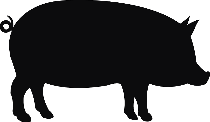 animal icon