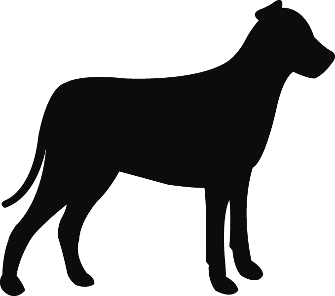 animal icon